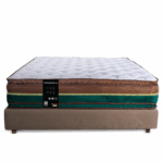 ⁦مرتبة الدورا تيوليب بوكت (بسوست منفصلة) - 32سم⁩ - الصورة ⁦2⁩