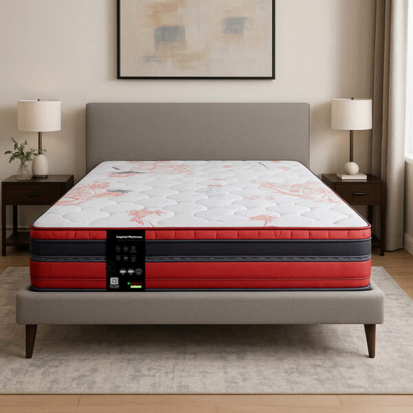 مرتبة الدورا كابيتال بوكت بسوست منفصلة - 30سم